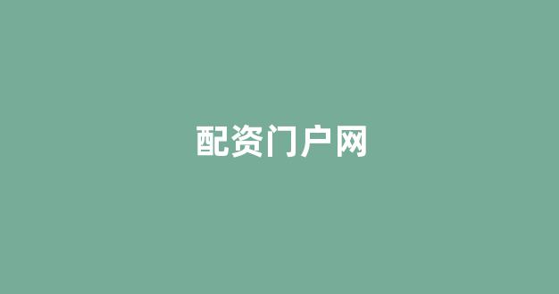 配资行业查询